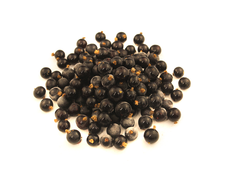 Black currant